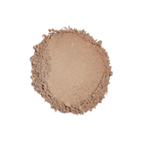 Sunforgettable Total Protection Brush-On Shield SPF 50