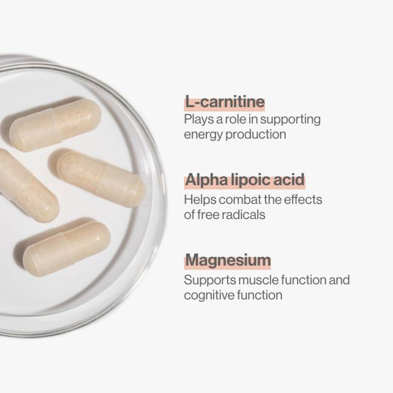 Advanced Nutrition Programme Pro-Energy Supplement