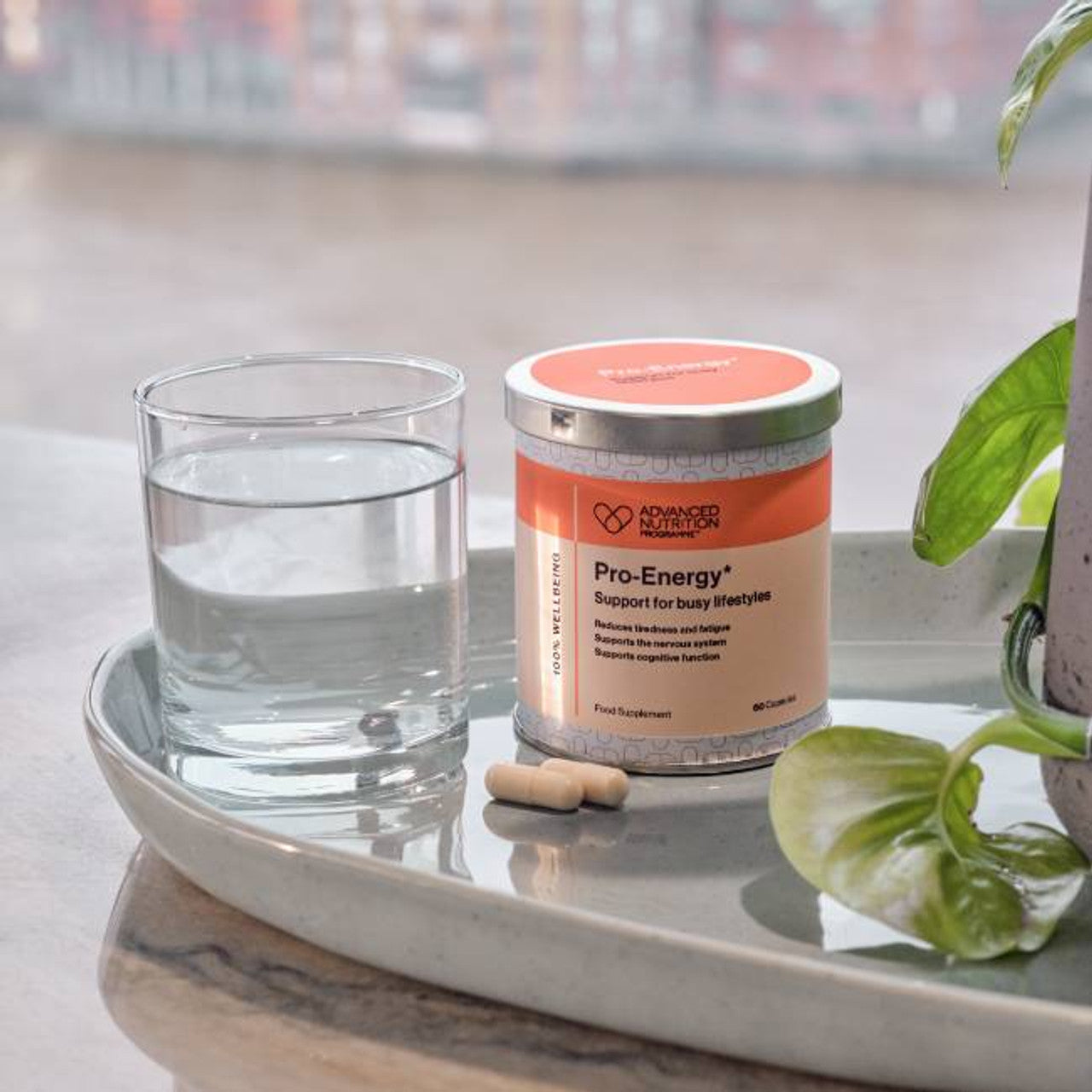 Advanced Nutrition Programme Pro-Energy Supplement