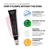 Revision Skincare Tinted YouthFull Lip Replenisher 9.4g