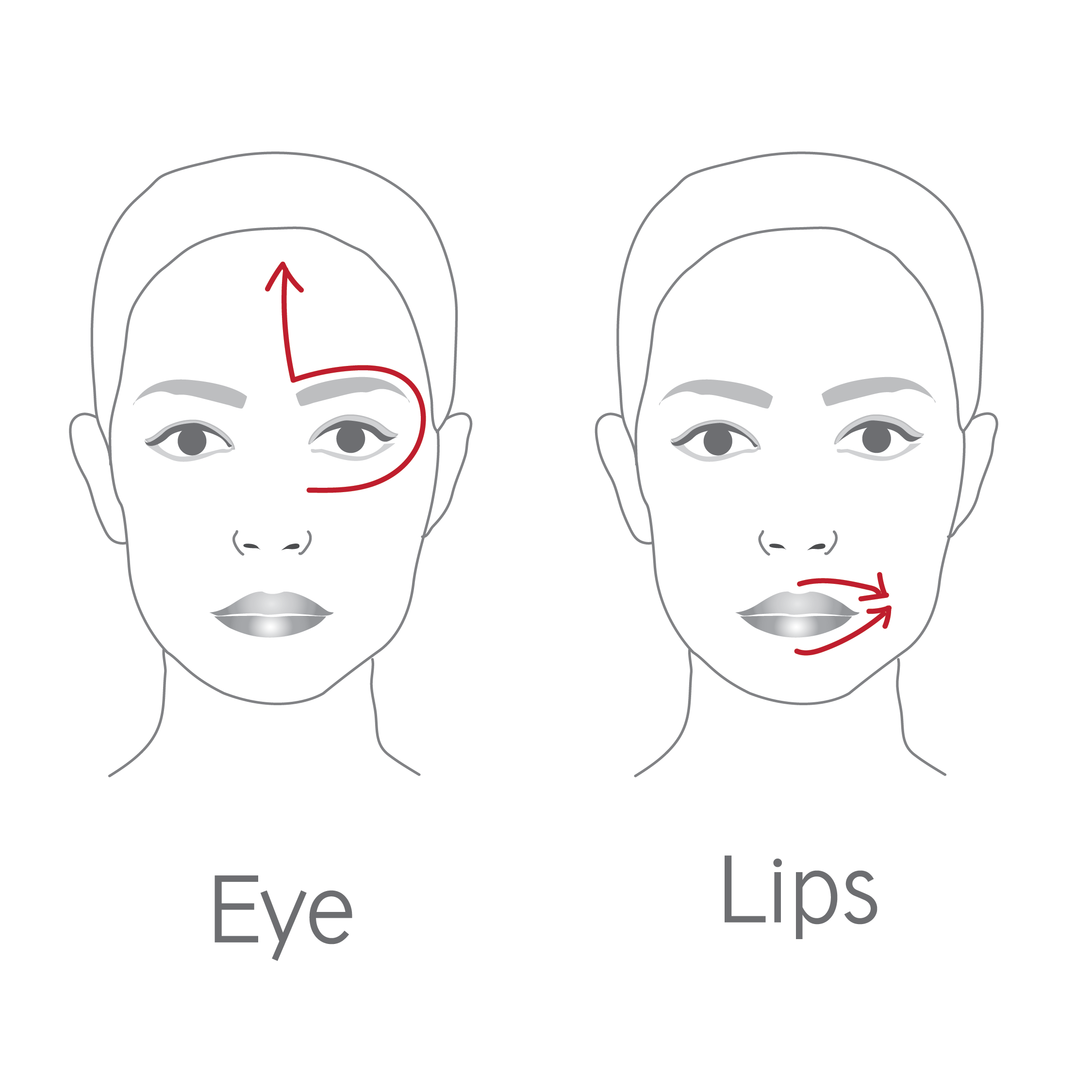 Dr LEVY Contour Pro