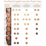 PureMatch Perfecting Concealer