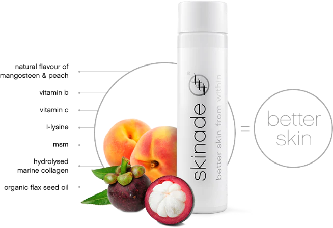 Skinade Daily Programme